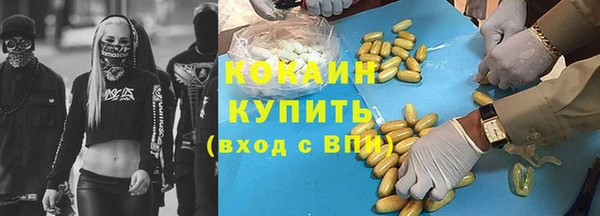 сатива Аркадак