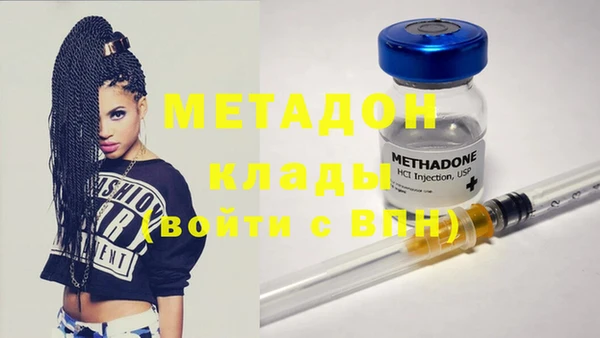 сатива Аркадак