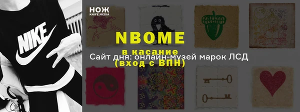 сатива Аркадак