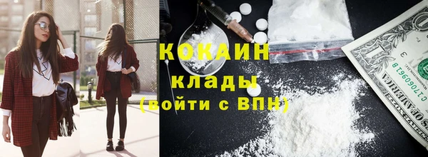 сатива Аркадак