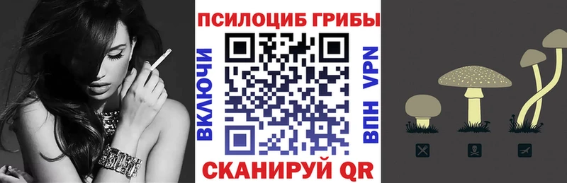 Купить закладки  Славянск-на-Кубани  Псилоцибиновые грибы Psilocybine cubensis 